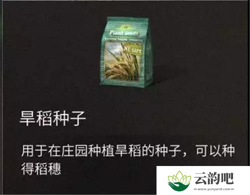 明日之后大米获得方法 旱稻种子在哪买